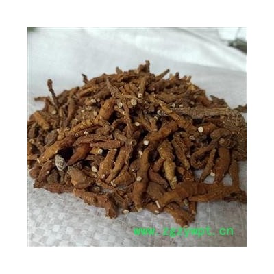 九节菖蒲 九节菖蒲净货 选个 水洗 正品 无硫 产地 江西省 小影全品类中药材店铺