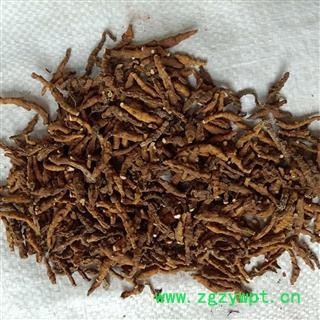 九节菖蒲 九节菖蒲净货 选个 水洗 正品 无硫 产地 江西省 小影全品类中药材店铺图2