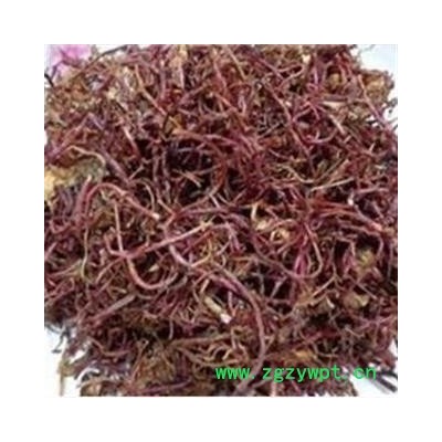 紫菀 水洗 好统 产地 安徽省马鞍山市雨山区