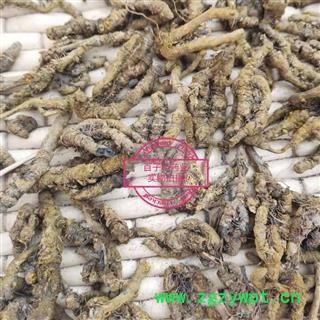 黄连 黄连单枝统货 产地 四川省图3