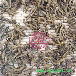 黄连 黄连单枝统货 产地 四川省图2