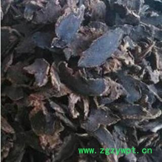 玄参 玄参斜片大统片 产地 河南省鹤壁市浚县图2