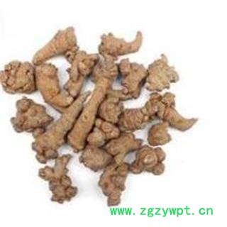 三七 60头 产地 云南省文山壮族苗族自治州文山市图2