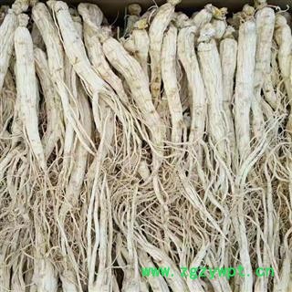 生晒参 生晒参60-80支无流无虫蛀产地直供支持货到付款 产地 吉林省白山市抚松县图2