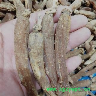 红参 纯无糖红参50-60支产地直供支持货到付款 产地 吉林省白山市抚松县图2
