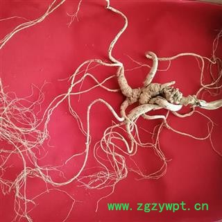 人参 百年野山参干参重35克精美礼盒国家权威鉴定产地直供 产地 吉林省白山市抚松县图2