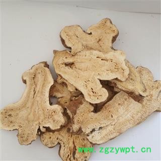 无硫白术大选片&【国舜堂】一手货源 规格齐全 量大从优 中药材批发供应【白术】图4