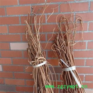 千斤拔 广统、长条 产地 广西壮族自治区玉林市玉林药市图2