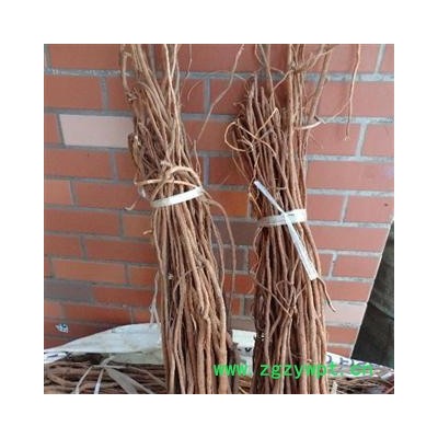 千斤拔 广统、长条 产地 广西壮族自治区玉林市玉林药市