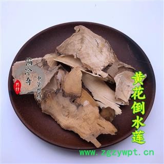 黄花倒水莲 一身保暖 倒吊黄花 黄花参 观音串 统 产地 广西壮族自治区 库图3