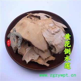 黄花倒水莲 一身保暖 倒吊黄花 黄花参 观音串 统 产地 广西壮族自治区 库图2