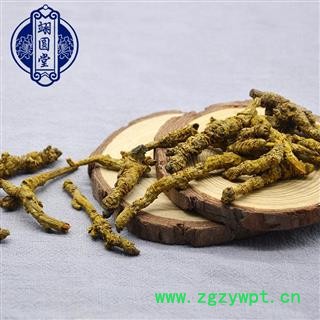 黄连 黄莲 川黄连 精选图4