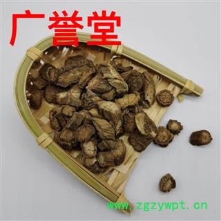 生牛蒡根 牛蒡根 统货 产地 内蒙古自治区图3