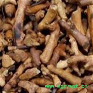 《满198包邮》骨碎补 炒骨碎补 炒骨碎补 圆柱状  地道药材  产地 广西壮族自治区图2