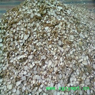 新货  中片白芷 产地安徽省亳图4