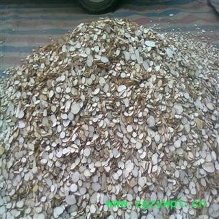 新货  中片白芷 产地安徽省亳图3