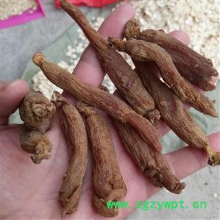 道地珍品  红参  全干无糖中条39/40支  每件250克   三年全满分5.0服务/品质保证   产地 吉林省  【隆兴中药材】图2