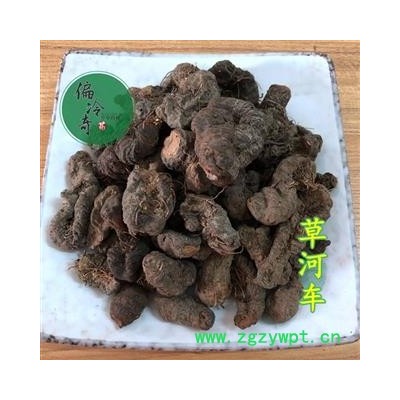 拳参 草河车 虾参 化骨莲 统 产地 广西壮族自治区