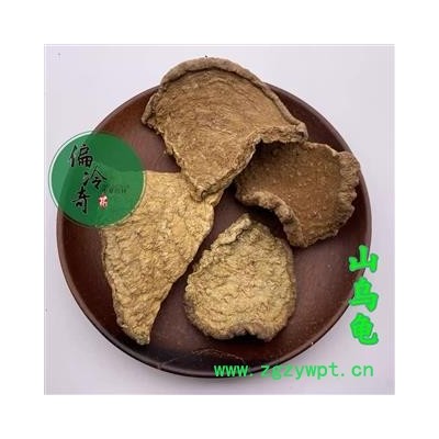 山乌龟 地乌龟 白地胆 独脚乌桕 石琴薯 地不容 统 产地 广西壮族自治区玉林市玉林药市