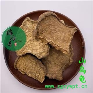 山乌龟 地乌龟 白地胆 独脚乌桕 石琴薯 地不容 统 产地 广西壮族自治区玉林市玉林药市图3