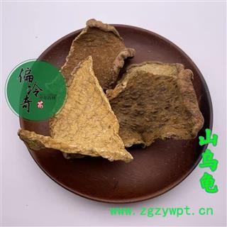 山乌龟 地乌龟 白地胆 独脚乌桕 石琴薯 地不容 统 产地 广西壮族自治区玉林市玉林药市图2