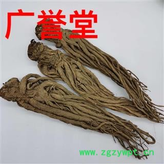 黑当归 当归 好统个 产地 甘肃省图3