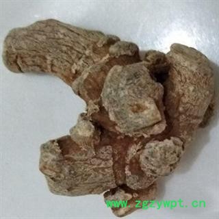 《满198包邮》三七40头水洗标准货纯干滑头三七图3