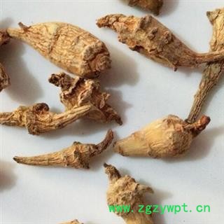 《满198包邮》三七 水洗三七芽 产地 云南省图3