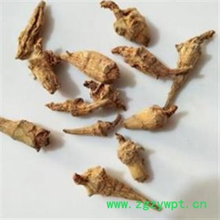 《满198包邮》三七 水洗三七芽 产地 云南省图2