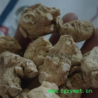 西洋参 西洋参粒头30g 产地 吉林省白山市抚松县图2