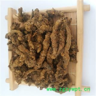 黄连&【国舜堂】单支连 实物拍照 产地货源 中药材批发供应【黄连】图4