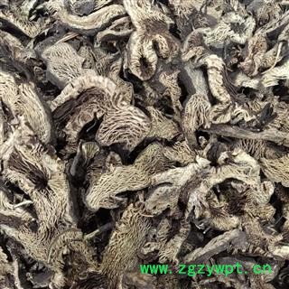 升麻 选货 好货 净货 产地 黑龙江省 小影全品类中药材店铺图3