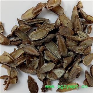 广郁金统装郁金无硫切片玉金 黄郁 玉京 入金中药材批发零售郁金图2