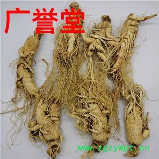 人参 10支 产地 吉林省图3