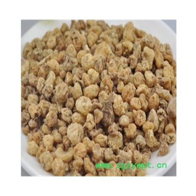 山慈菇 统 产地 云南省曲靖市市辖区