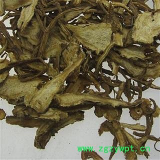 当归 无硫片 统 产地 甘肃省  正品保证图2