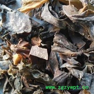 京辉药业 昆布 正品 优质促销 各种中草药 冷背  矿石 参茸图2