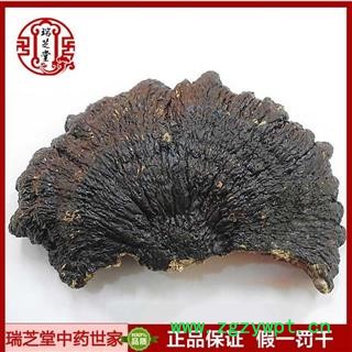 灵芝 海南薄树芝 薄盖灵芝 瑞芝堂产地直销1000克图2
