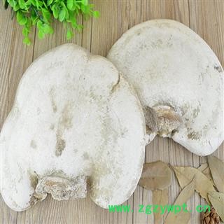 煜庭药业 苦白蹄 纯天然白灵芝 玉芝、阿里红、落叶松茸、药用层孔菌图4
