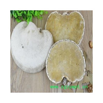 煜庭药业 苦白蹄 纯天然白灵芝 玉芝、阿里红、落叶松茸、药用层孔菌