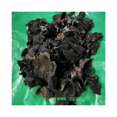 瑞森药材行石耳  石木耳 岩菇 石壁花 地耳 实物拍照