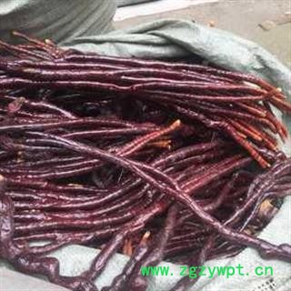 诺源药材行中药材灵芝 灵芝草图2