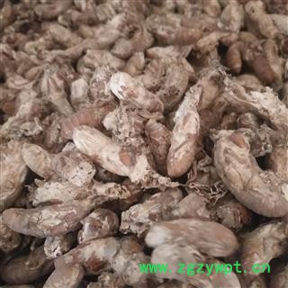 诺源药材行野生蝉花 金蝉花 蝉菌  金蚕花图2