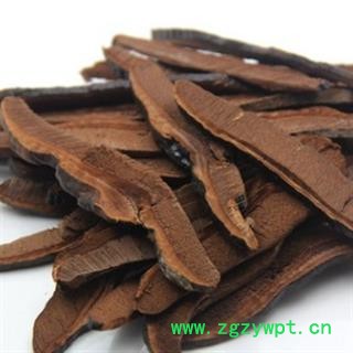 安祁名药灵芝 灵芝片图2