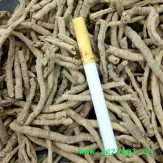 中药材远志 远志筒 远志棍各种规格 手工挑选 无硫精选全抽芯 地道原产 安国中药材批发零售大全图2