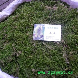 石见穿,石青苔 精品好货 产地 四川省成都市双流县 库存 2000千克可售图2