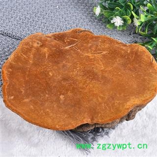 桑黄 秦岭优质桑黄 手工掰取 分拣 日晒500g图3