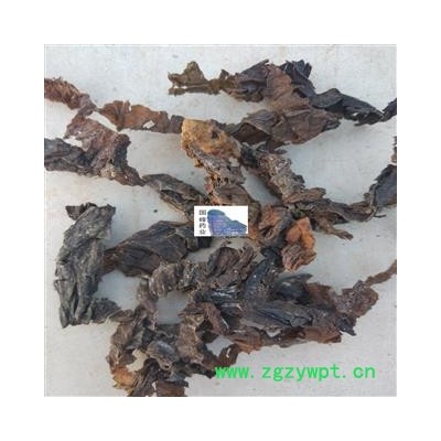 昆布 水洗 干净 干度好 国峰药业 重在品质 产地 山东省威海市