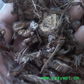 漏芦 统 产地 四川省内江市市辖区图2