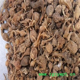 珠子参 统 产地 云南省丽江市宁蒗彝族自治县 库存 500公斤可售图4